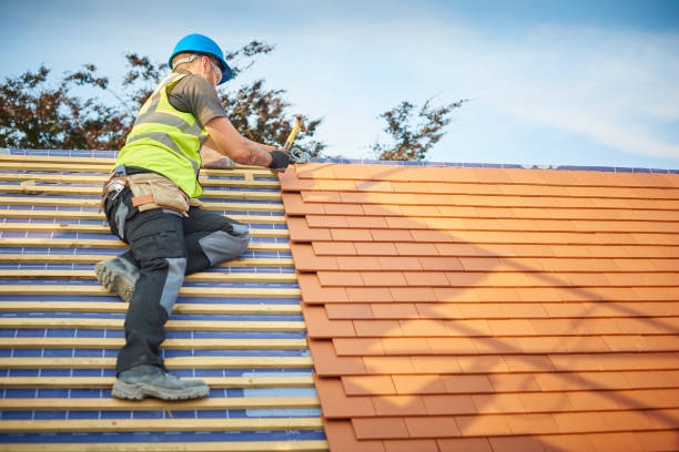 Best Solar Panel Roofing Installation  in Palos Park, IL
